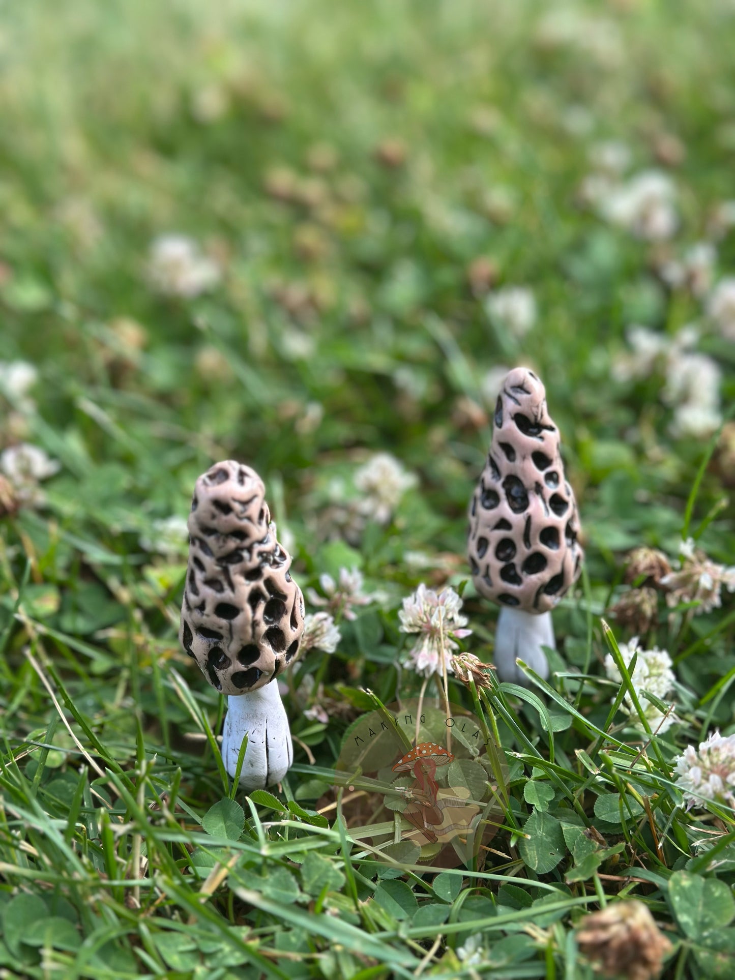 Mushroom Plant/Garden Pals