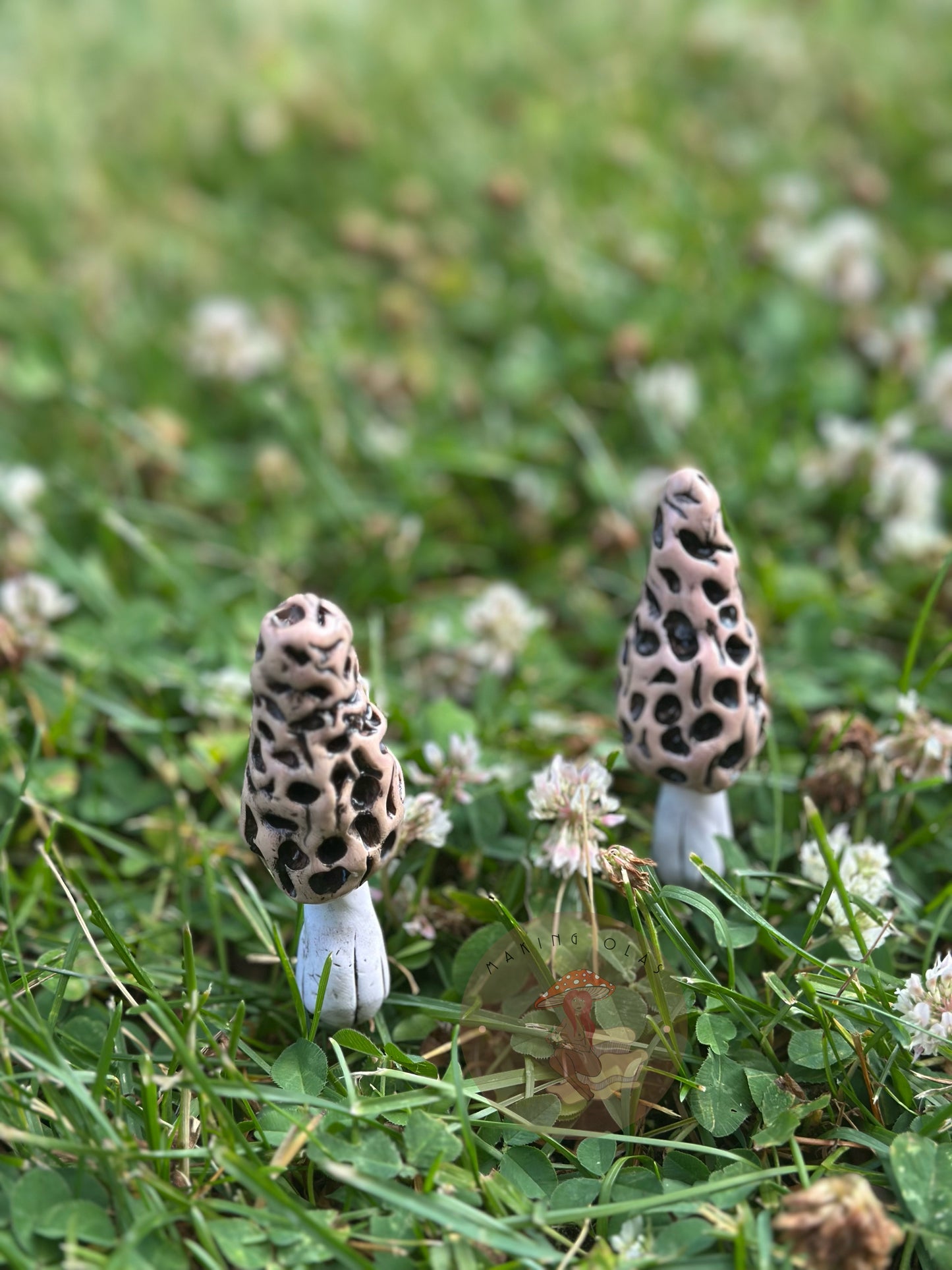 Mushroom Plant/Garden Pals