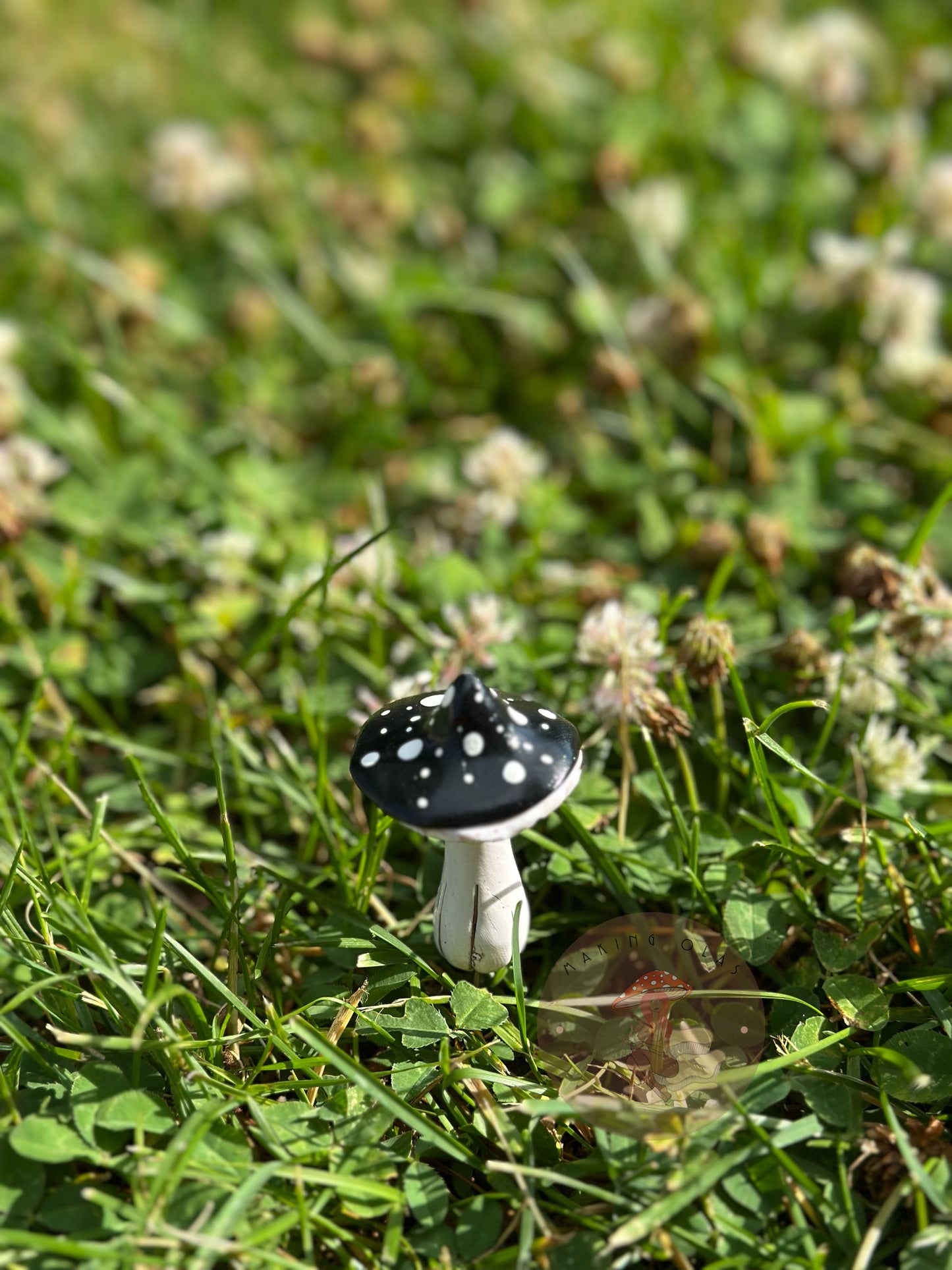 Mushroom Plant/Garden Pals