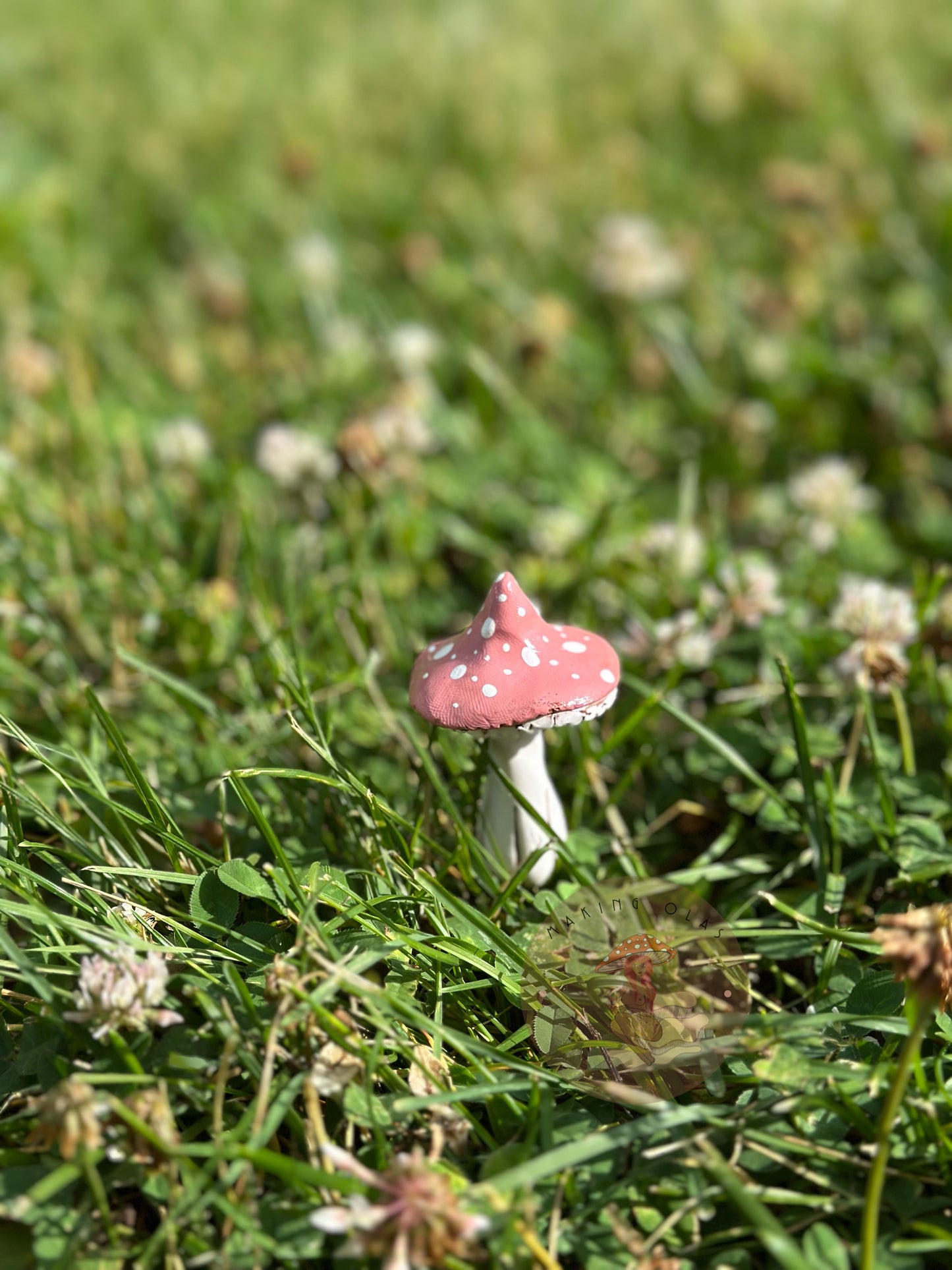 Mushroom Plant/Garden Pals