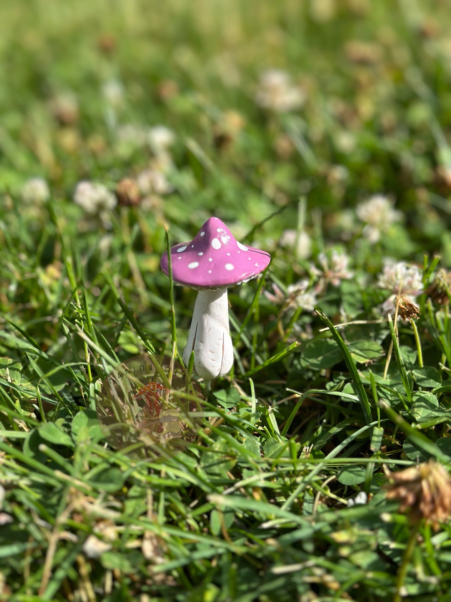 Mushroom Plant/Garden Pals