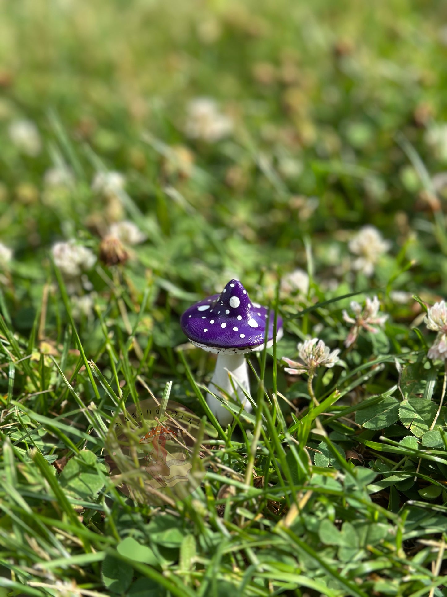 Mushroom Plant/Garden Pals