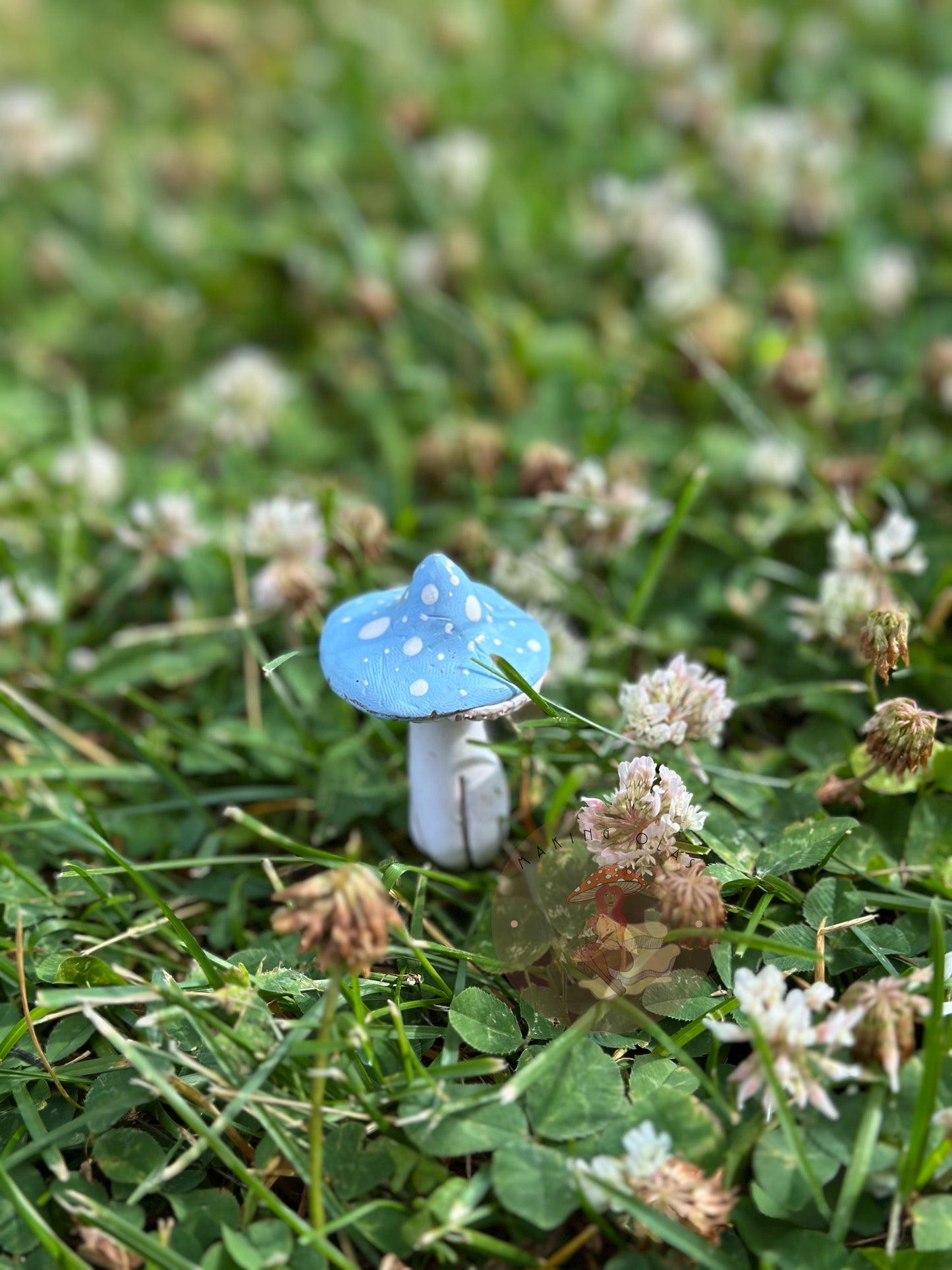 Mushroom Plant/Garden Pals