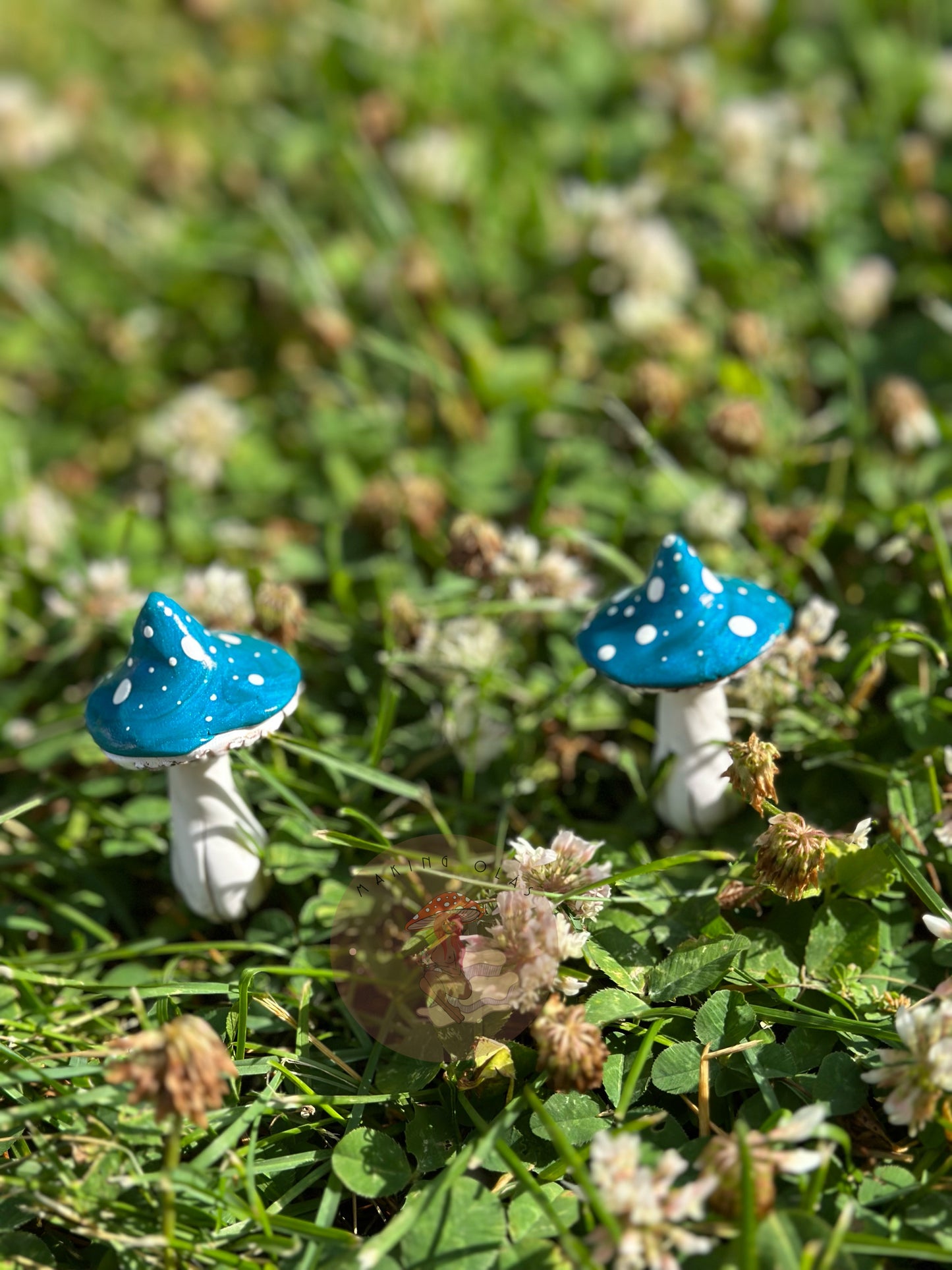 Mushroom Plant/Garden Pals