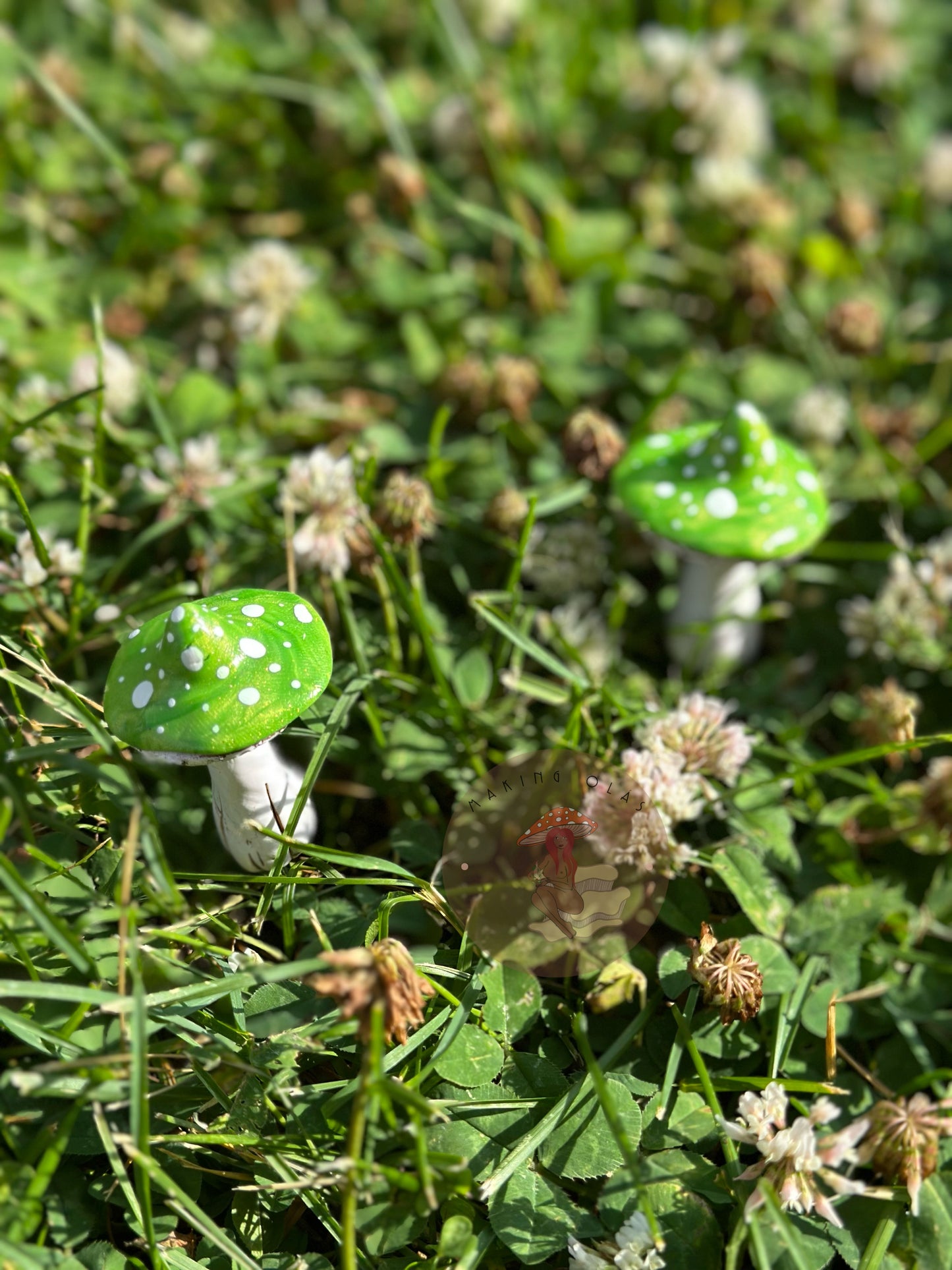 Mushroom Plant/Garden Pals