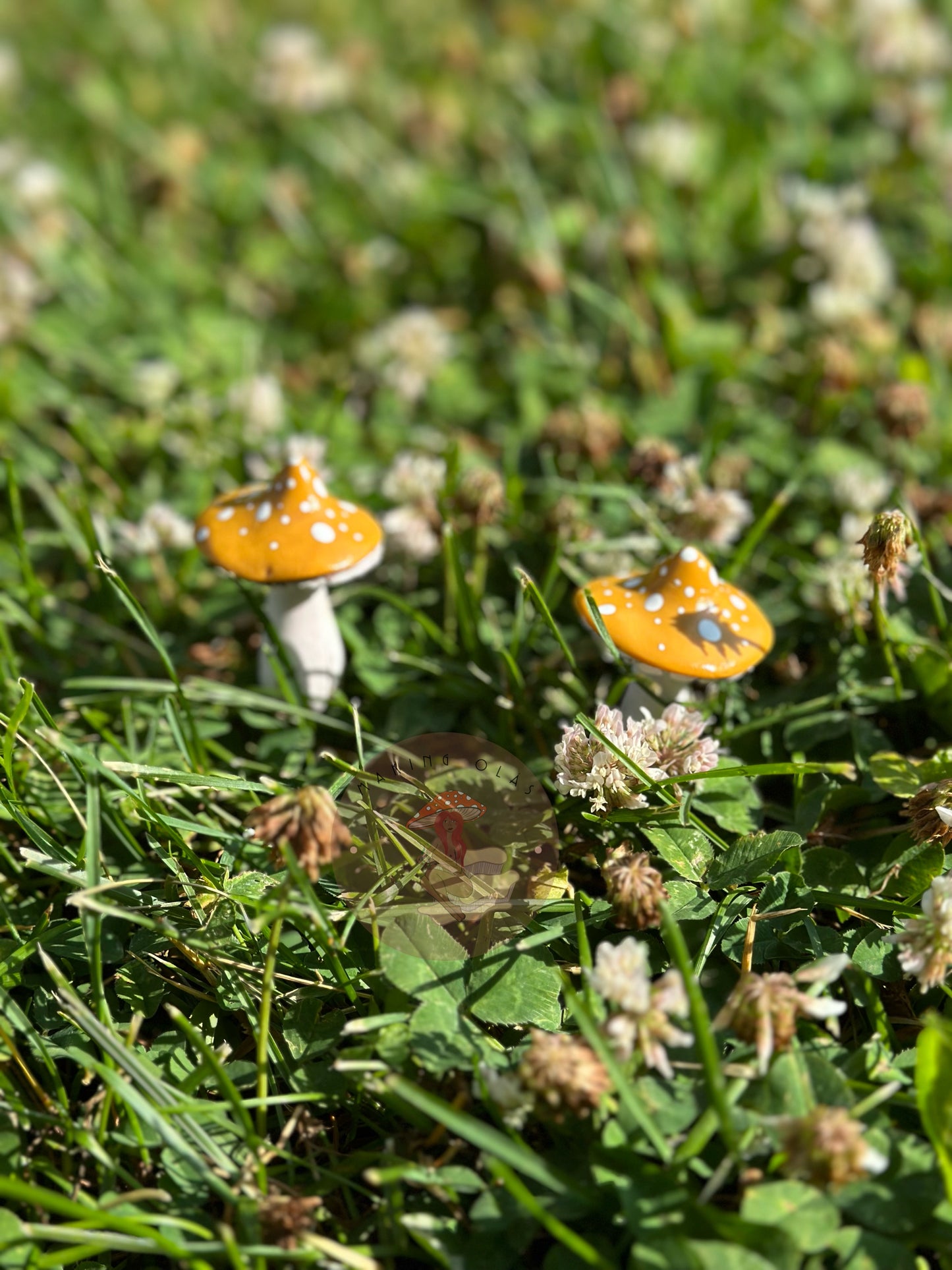 Mushroom Plant/Garden Pals