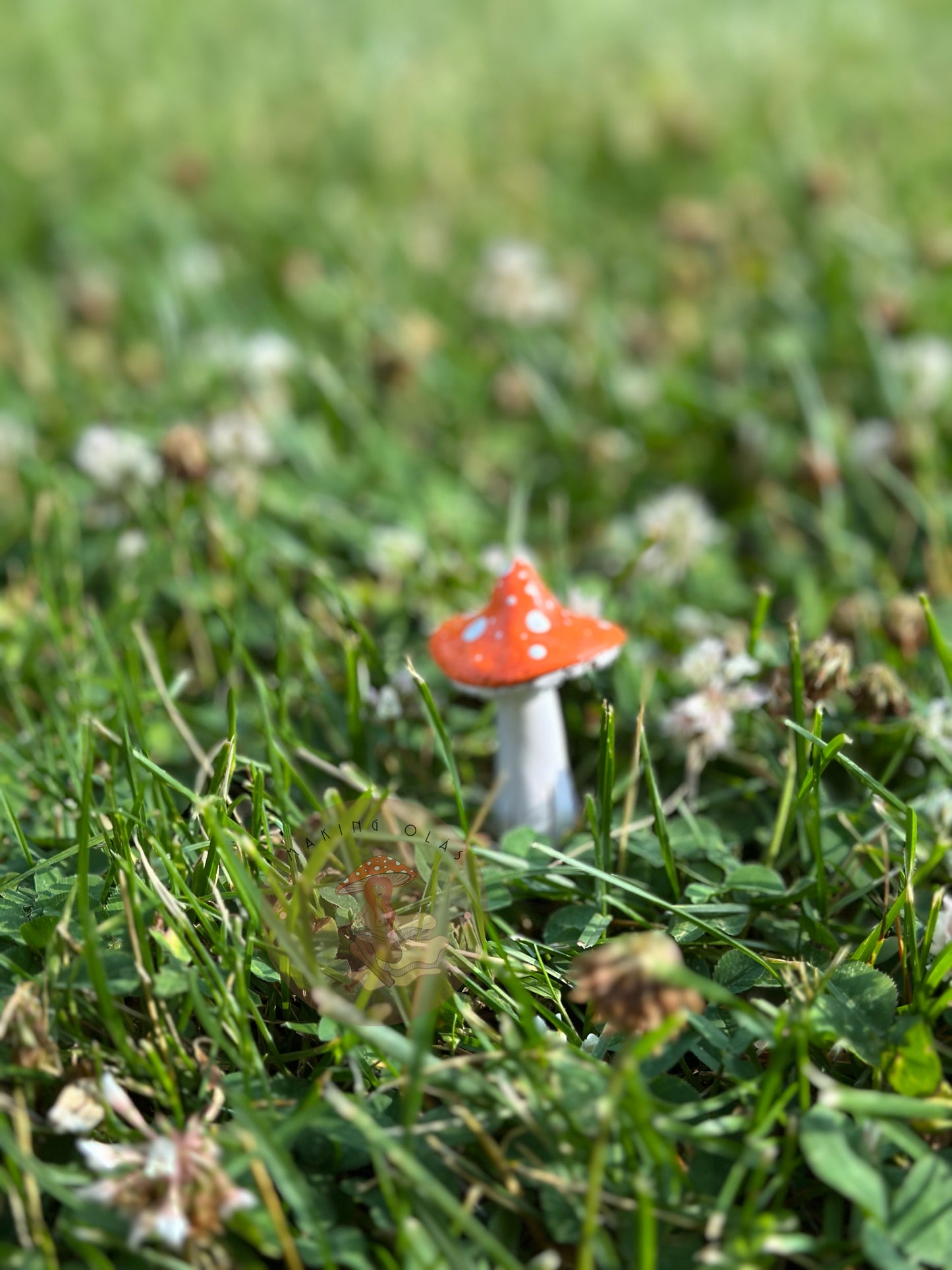 Mushroom Plant/Garden Pals