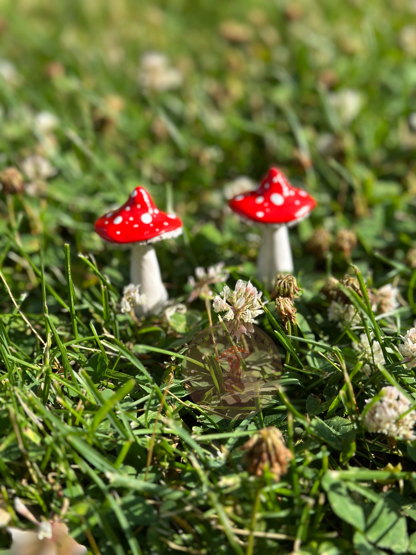 Mushroom Plant/Garden Pals