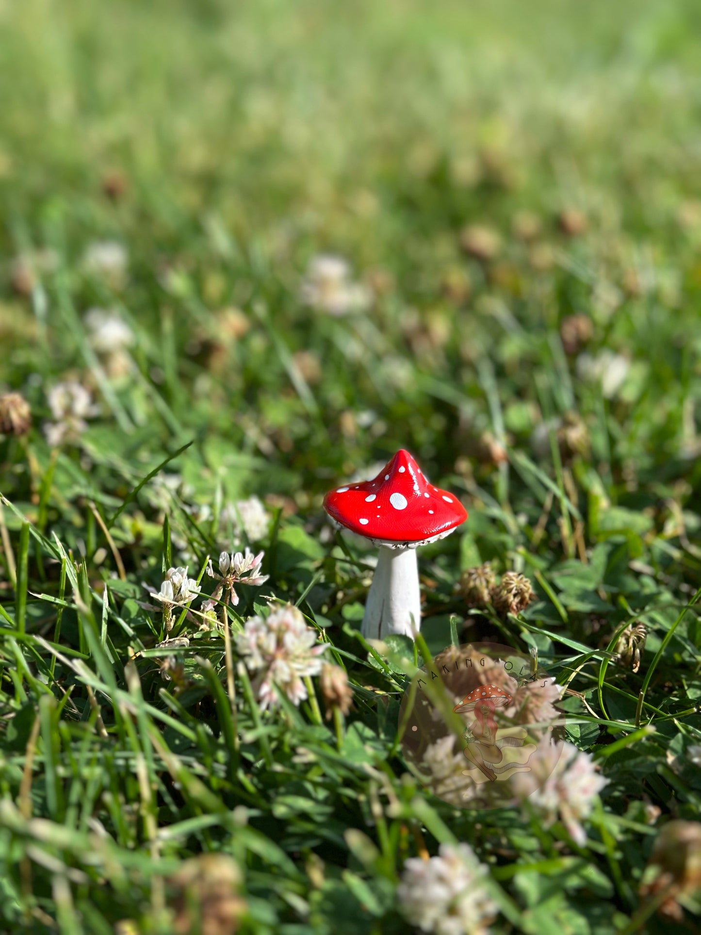 Mushroom Plant/Garden Pals