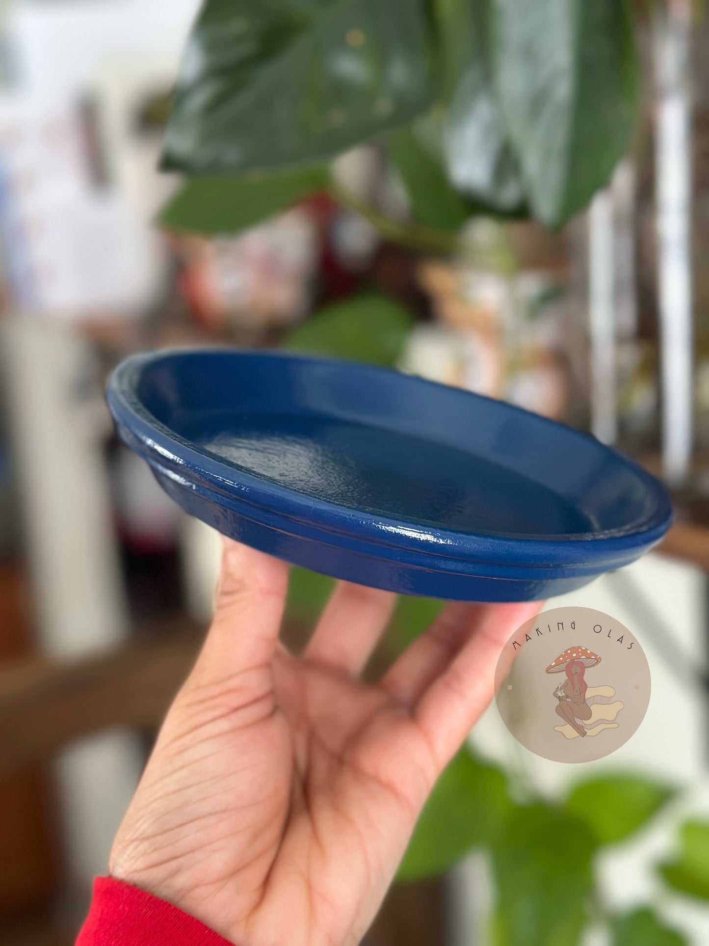 Add-on Clay Saucer plate for all Plant pots