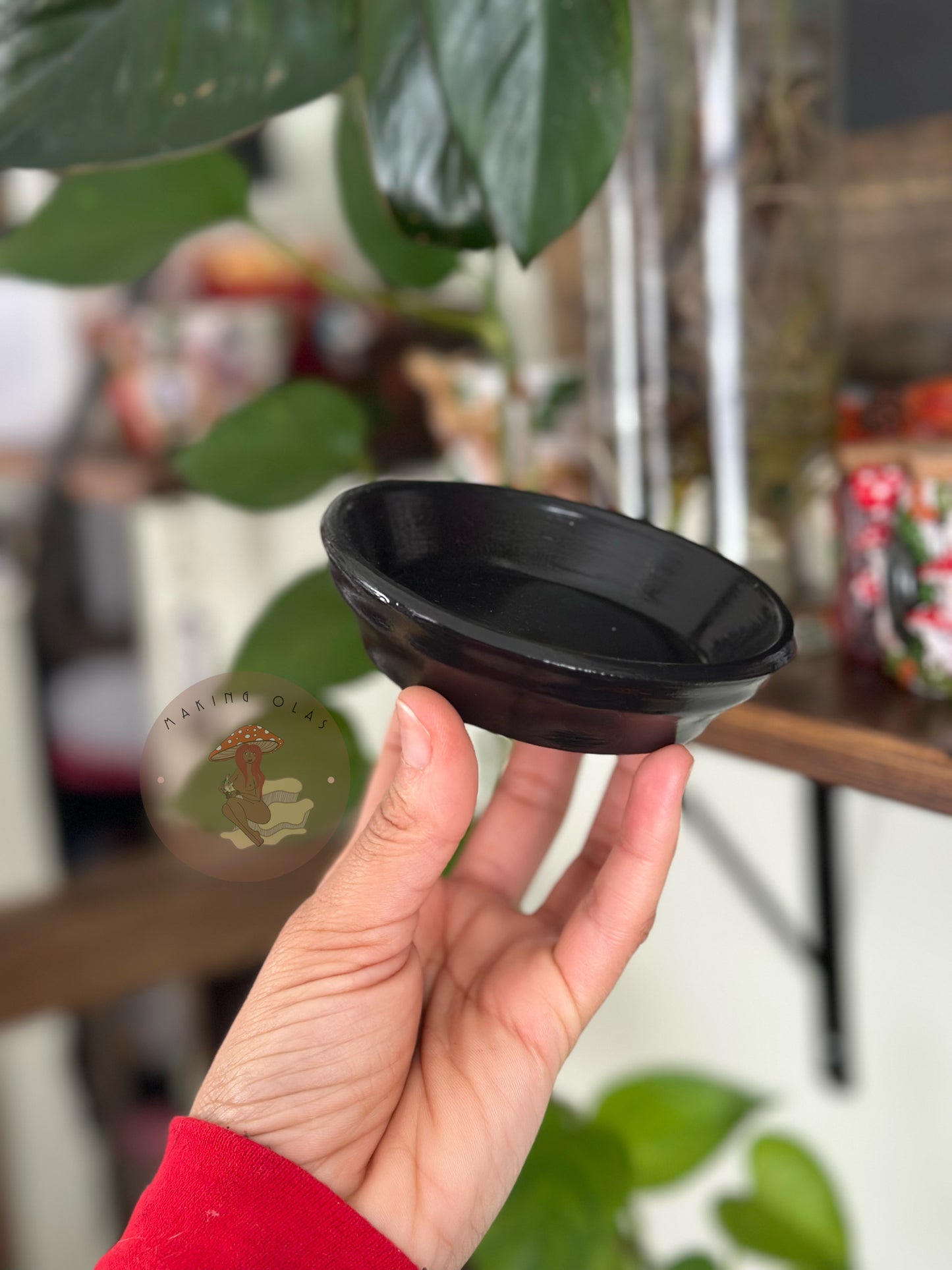 Add-on Clay Saucer plate for all Plant pots
