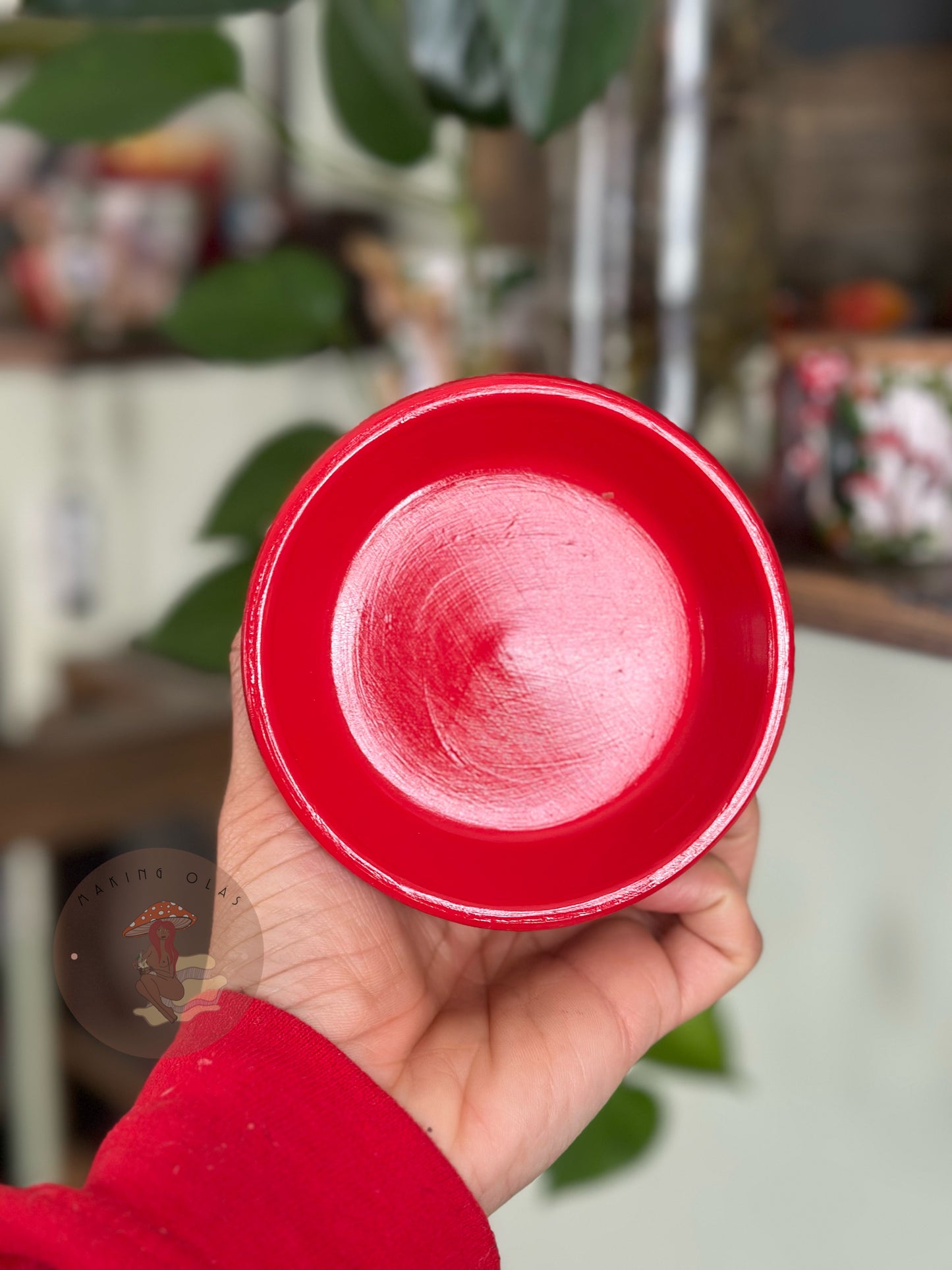 Add-on Clay Saucer plate for all Plant pots