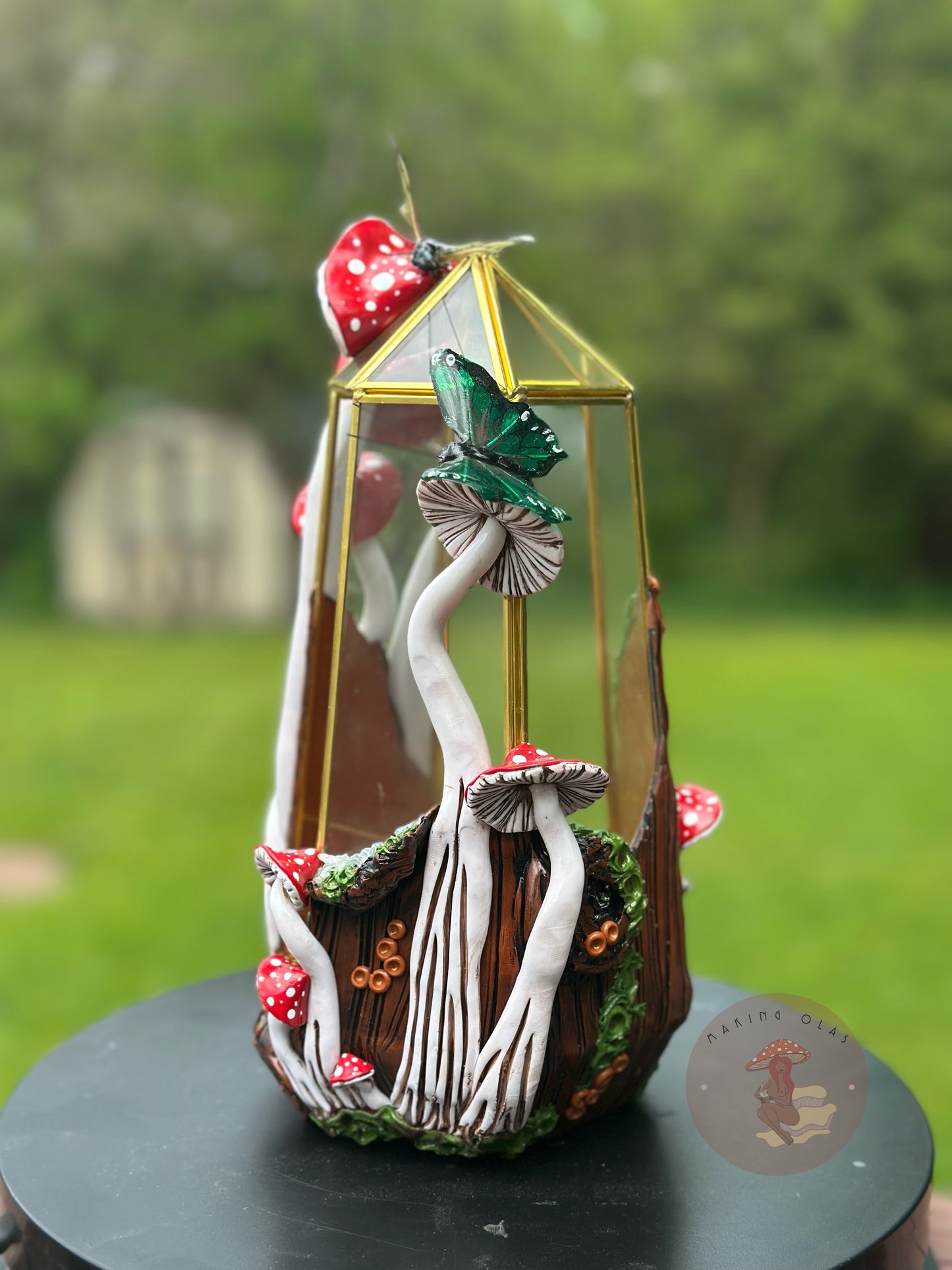 Terrarium | Brown Oak with Red Mushies and Butterflies