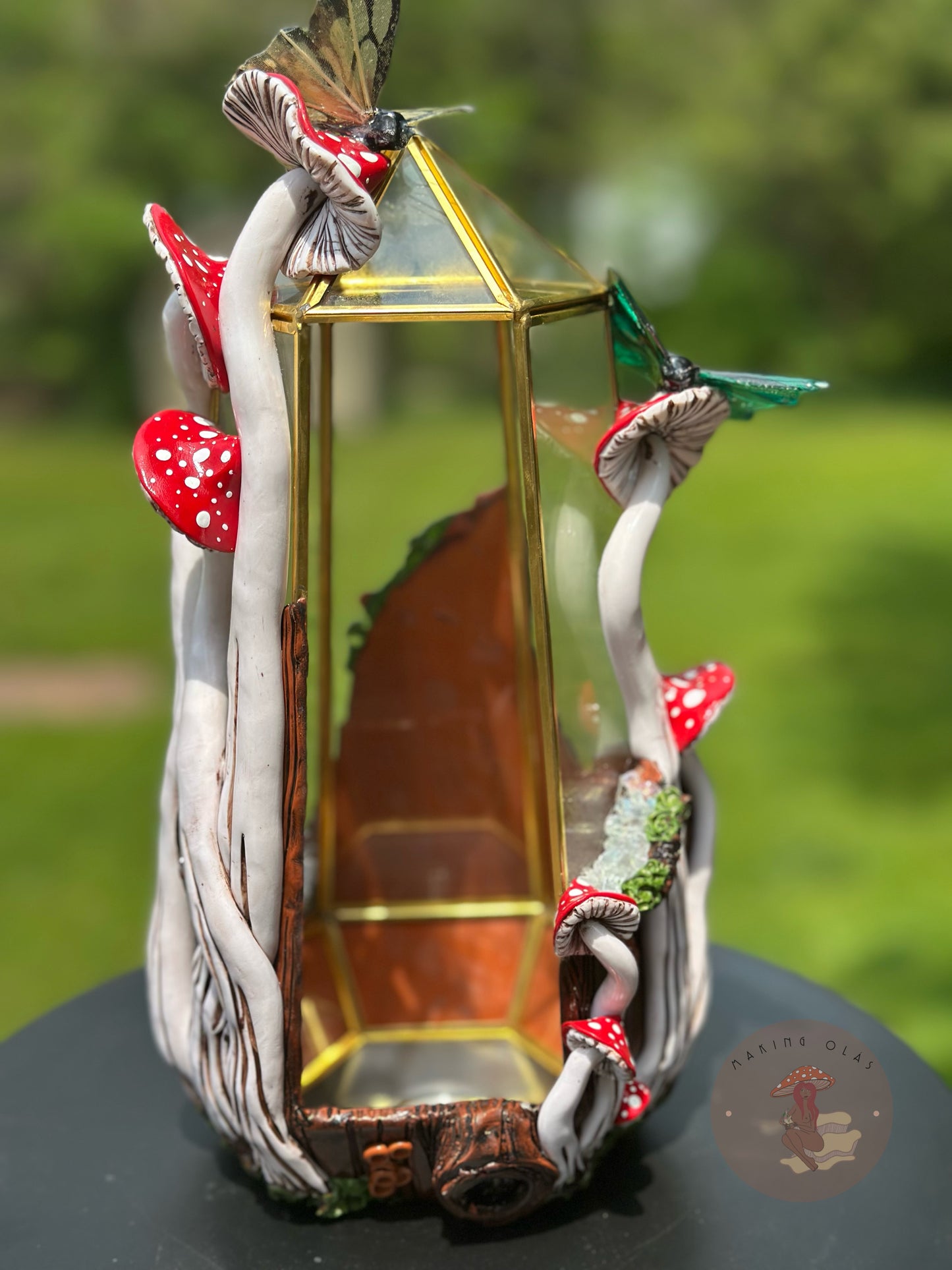 Terrarium | Brown Oak with Red Mushies and Butterflies