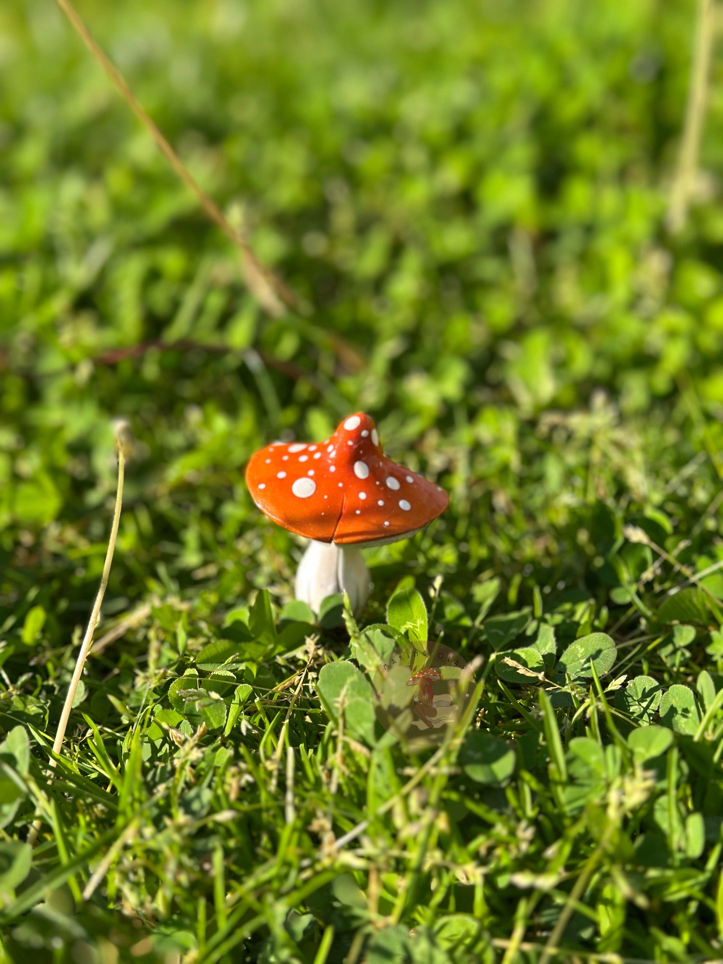 Mushroom Plant/Garden Pals