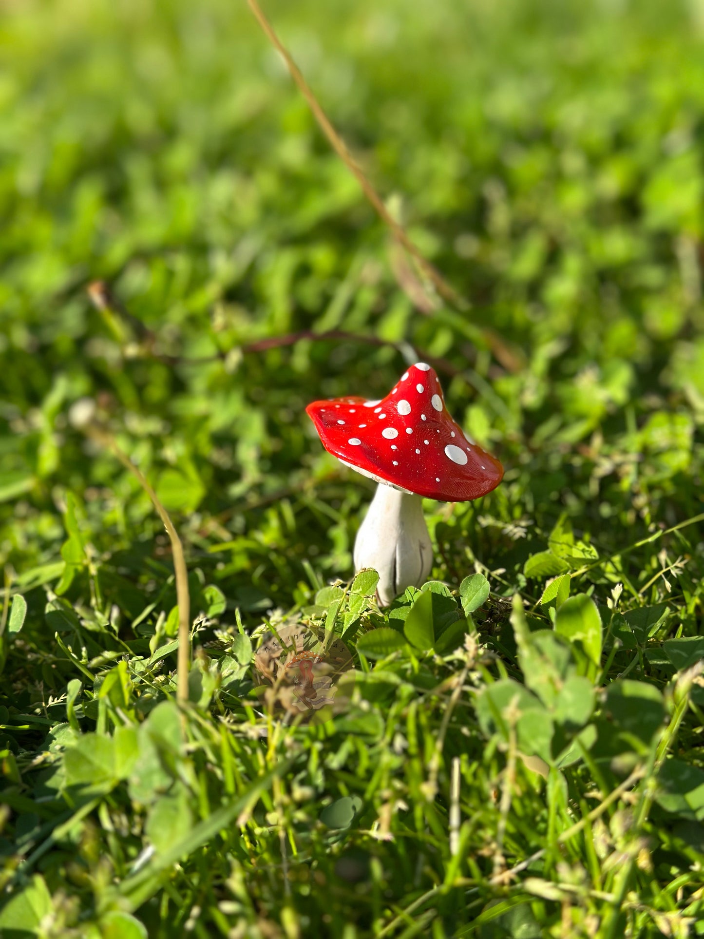 Mushroom Plant/Garden Pals