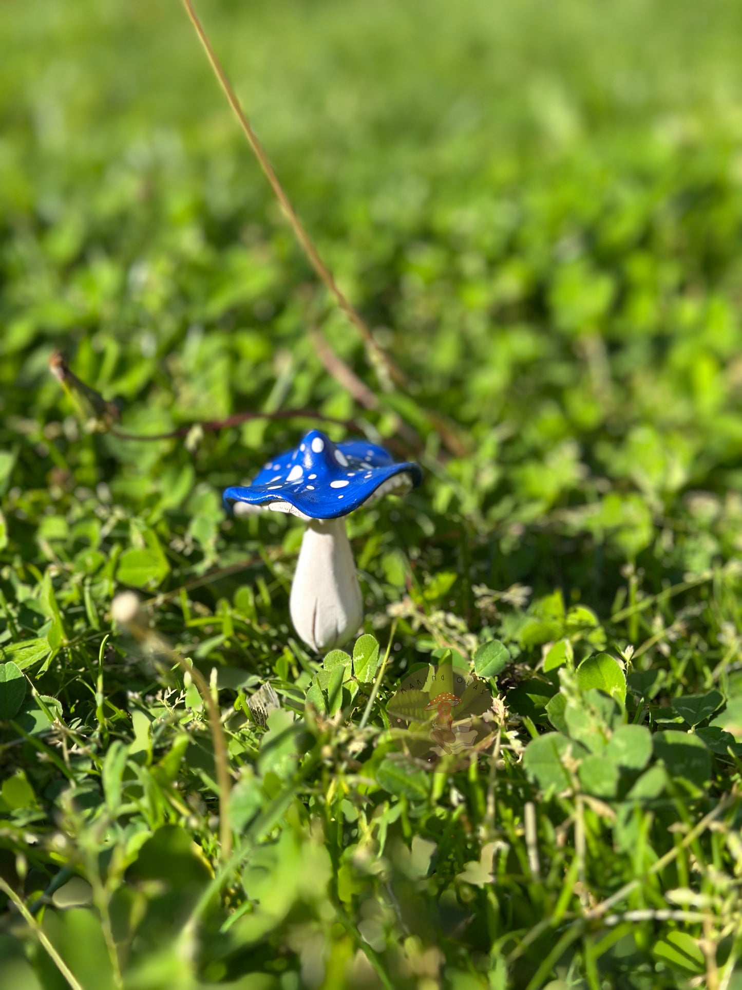 Mushroom Plant/Garden Pals